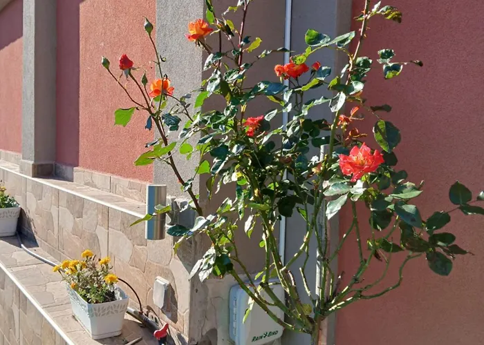 детелина - лина Луксозна вила *